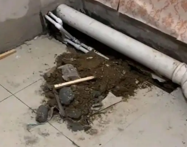鼎湖卫生间漏水检测哪家好