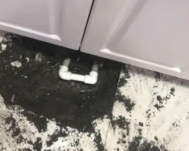 鼎湖查漏水哪家好